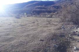 Land For Sale, Aranisi