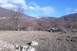 Land For Sale, Aranisi