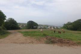 Land For Sale, Tsavkisi