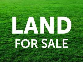 Land For Sale, kveda tlughi