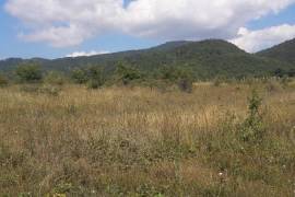 Land For Sale, Zakaro