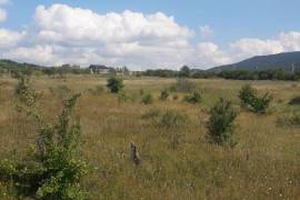 Land For Sale, Zakaro