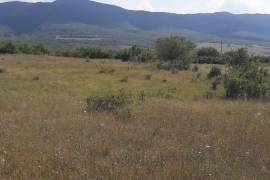 Land For Sale, Zakaro