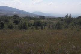 Land For Sale, Zakaro