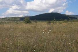 Land For Sale, Zakaro