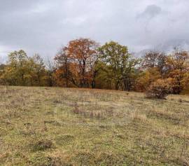 Продается Земля, Сельскохозяйственные, Mzetamze