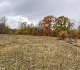 Продается Земля, Сельскохозяйственные, Mzetamze