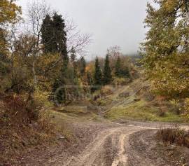 Продается Земля, Сельскохозяйственные, Mzetamze