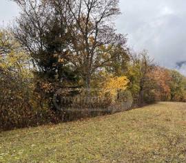 Продается Земля, Сельскохозяйственные, Mzetamze