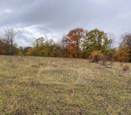 Продается Земля, Сельскохозяйственные, Mzetamze