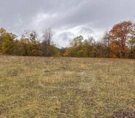 Продается Земля, Сельскохозяйственные, Mzetamze