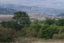 Land For Sale, Tsavkisi