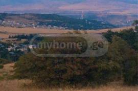 Land For Sale, Tsavkisi