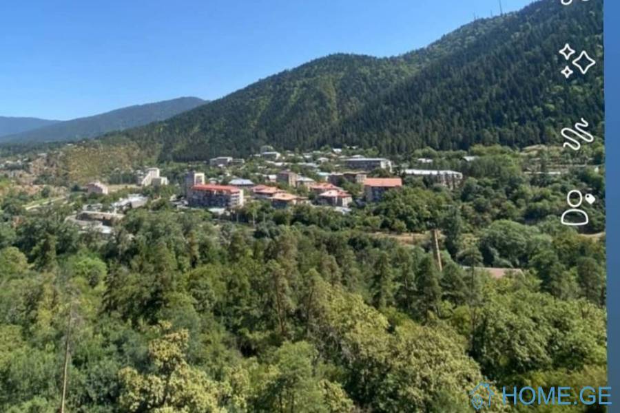 ქირავდება ბინა, 3 ოთახიანი, ძველი აშენებული, ბორჯომი, ლიკანი