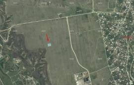 Land For Sale, Martkopi