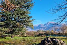 იყიდება მიწის ნაკვეთი, სასოფლო - სამეურნეო, ენისელი