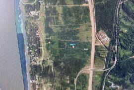 Land For Sale, Ureki