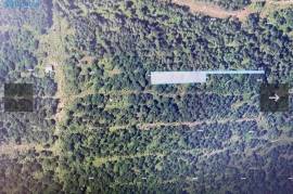 Land For Sale, Ureki