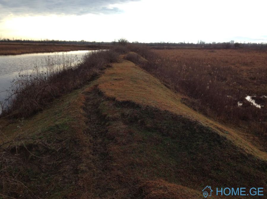 Land For Sale, Agricultural, Bashi