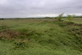 Land For Sale, Bashi