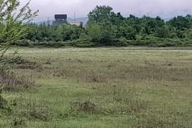 Land For Sale, Bashi