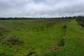 Land For Sale, Agricultural, Bashi