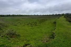 Land For Sale, Bashi