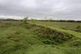 Land For Sale, Bashi