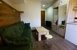 ქირავდება ბინა დღიურად, 1 ოთახიანი, ახალი აშენებული, ყაზბეგი, გუდაური