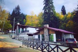 ქირავდება სახლი, 7 ოთახიანი, ბორჯომი, ბაკურიანი