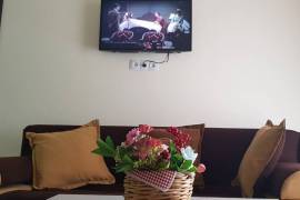 Daily Apartment Rent, 2 Room, New building, Borjomi , Bakuriani