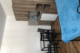 Daily Apartment Rent, 1 Room, New building, Borjomi , Bakuriani