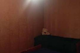 Apartment for sale, 4 Room, Old building, Gardabani  