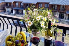 Daily Apartment Rent, 2 Room, New building, Borjomi , Bakuriani