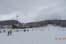 Аренда квартир посуточно, 1 Kомнатная, Новостройка, Боржомский район, Бакуриани