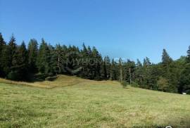 Land For Sale, Non Agricultural, Bakuriani