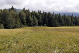 Land For Sale, Bakuriani