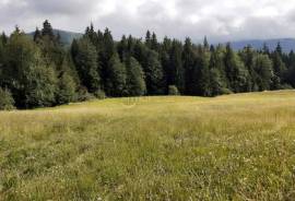 Land For Sale, Non Agricultural, Bakuriani