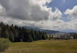 Land For Sale, Non Agricultural, Bakuriani