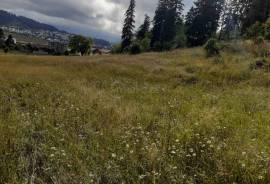 Land For Sale, Non Agricultural, Bakuriani