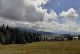 Land For Sale, Bakuriani