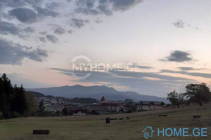 Land For Sale, Non Agricultural, Bakuriani