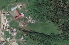 Land For Sale, Non Agricultural, Bakuriani