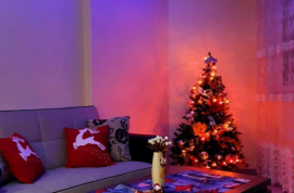 Daily Apartment Rent, 1 Room, New building, Batumi