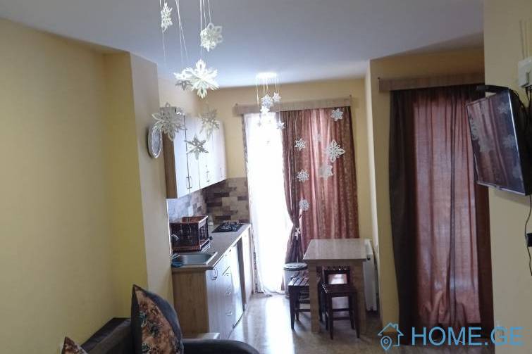 Daily Apartment Rent, 1 Room, New building, Borjomi , Bakuriani