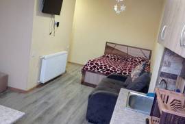 Daily Apartment Rent, 1 Room, New building, Borjomi , Bakuriani