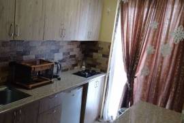 Daily Apartment Rent, 1 Room, New building, Borjomi , Bakuriani