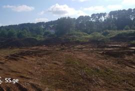 Land For Sale, Ureki