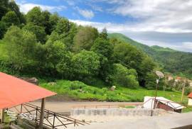 ქირავდება ბინა დღიურად, 3 ოთახიანი, ახალი აშენებული, ბორჯომი, ბაკურიანი