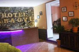 Daily Rent, 20 Room, Dusheti , Naghvarevi
